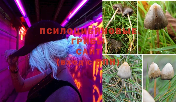 стафф Медногорск