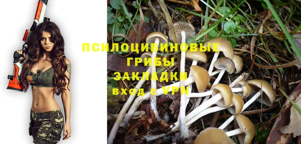 гидра Краснослободск
